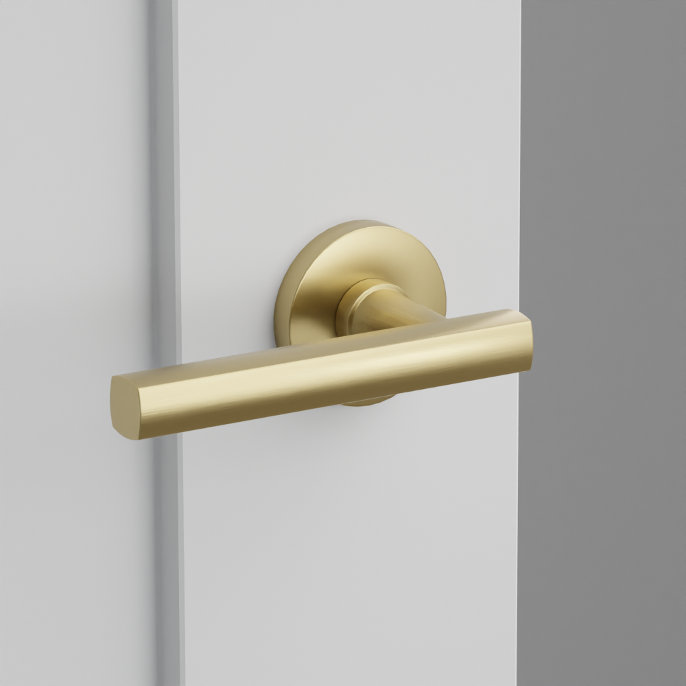 Exterior render - cgrender/InteriorPassagePrivacyDummy/default/h.lever_FRL.finish_US4/r.rosette_dummy_5059.finish_US4.png