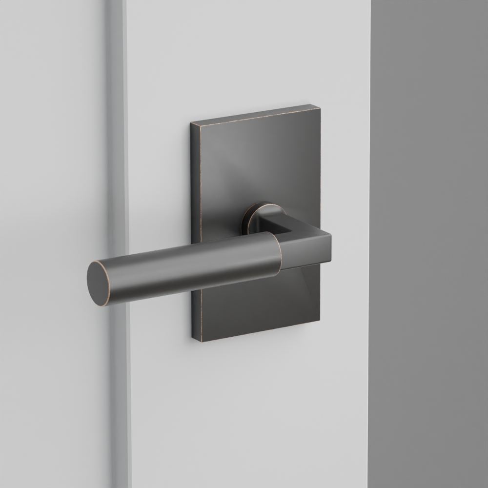 Exterior render - cgrender/InteriorPassagePrivacyDummy/default/h.lever_HEC.finish_US10B/r.rosette_dummy_5052.finish_US10B.png