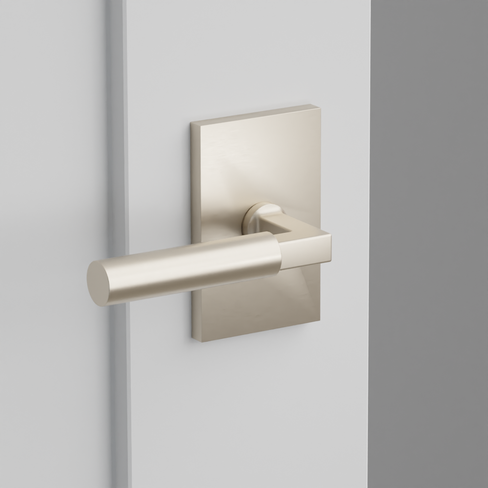 Exterior render - cgrender/InteriorPassagePrivacyDummy/default/h.lever_HEC.finish_US15/r.rosette_dummy_5052.finish_US15.png