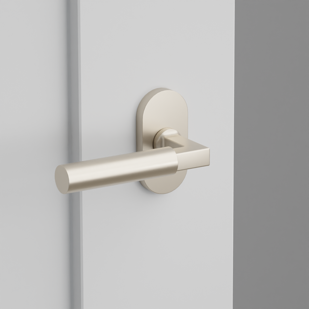 Exterior render - cgrender/InteriorPassagePrivacyDummy/default/h.lever_HEC.finish_US15/r.rosette_dummy_5803.finish_US15.png