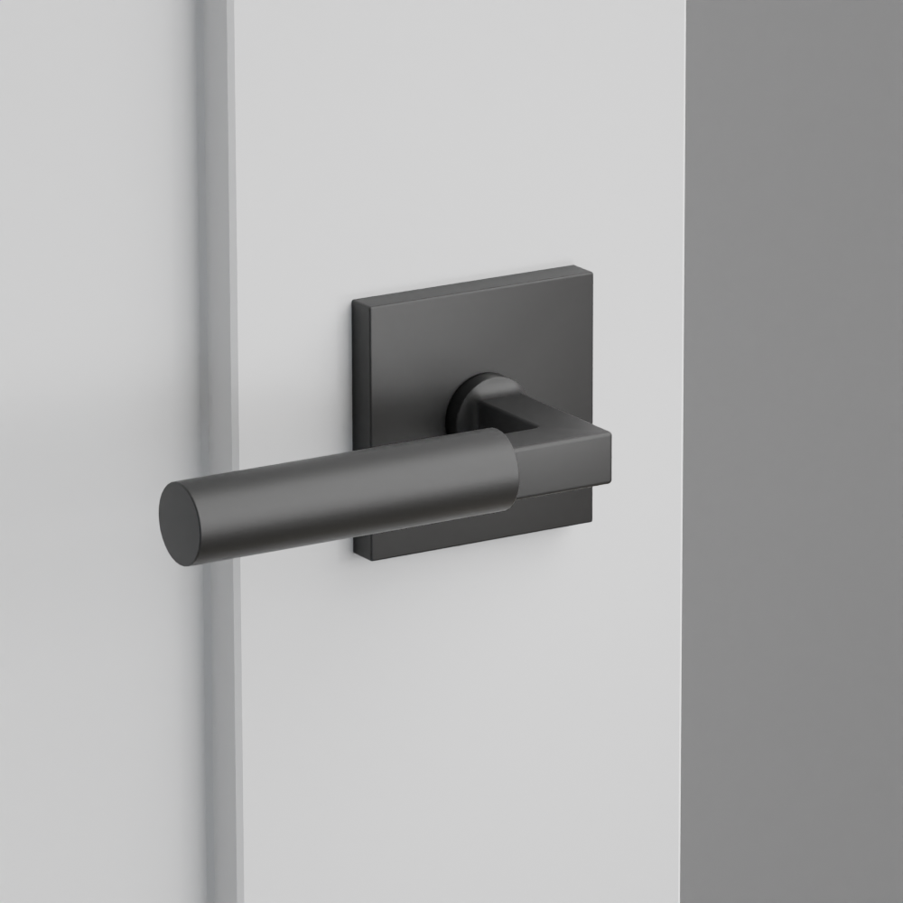 Exterior render - cgrender/InteriorPassagePrivacyDummy/default/h.lever_HEC.finish_US19/r.rosette_dummy_5050.finish_US19.png