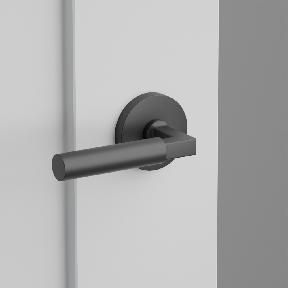 Exterior render - cgrender/InteriorPassagePrivacyDummy/default/h.lever_HEC.finish_US19/r.rosette_dummy_5059.finish_US19.png