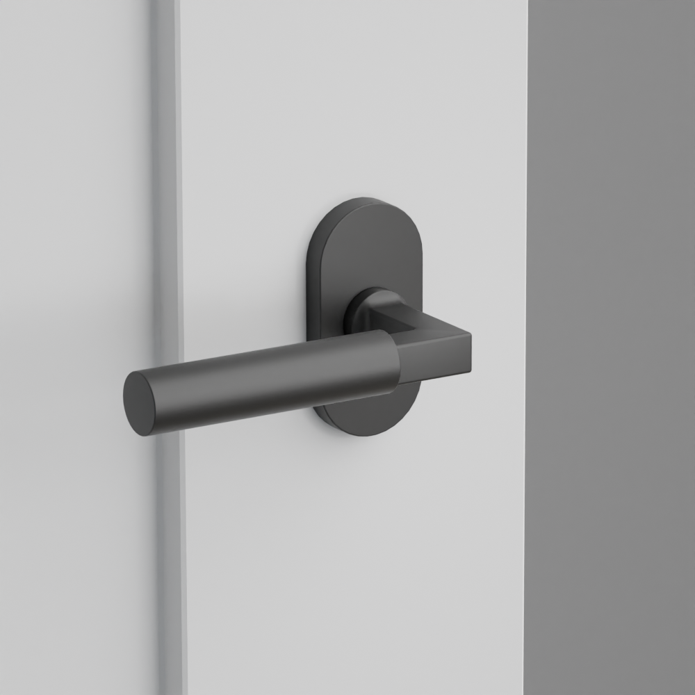 Exterior render - cgrender/InteriorPassagePrivacyDummy/default/h.lever_HEC.finish_US19/r.rosette_dummy_5803.finish_US19.png