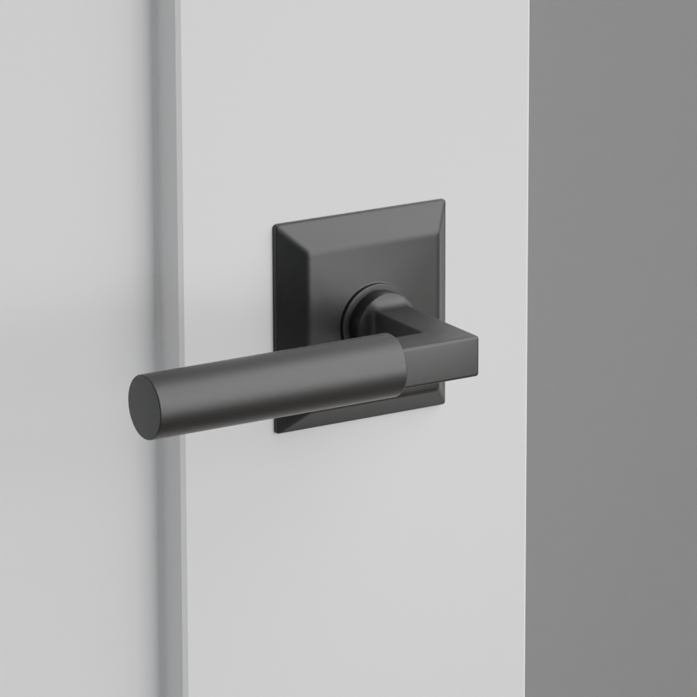 Exterior render - cgrender/InteriorPassagePrivacyDummy/default/h.lever_HEC.finish_US19/r.rosette_dummy_8531.finish_US19.png