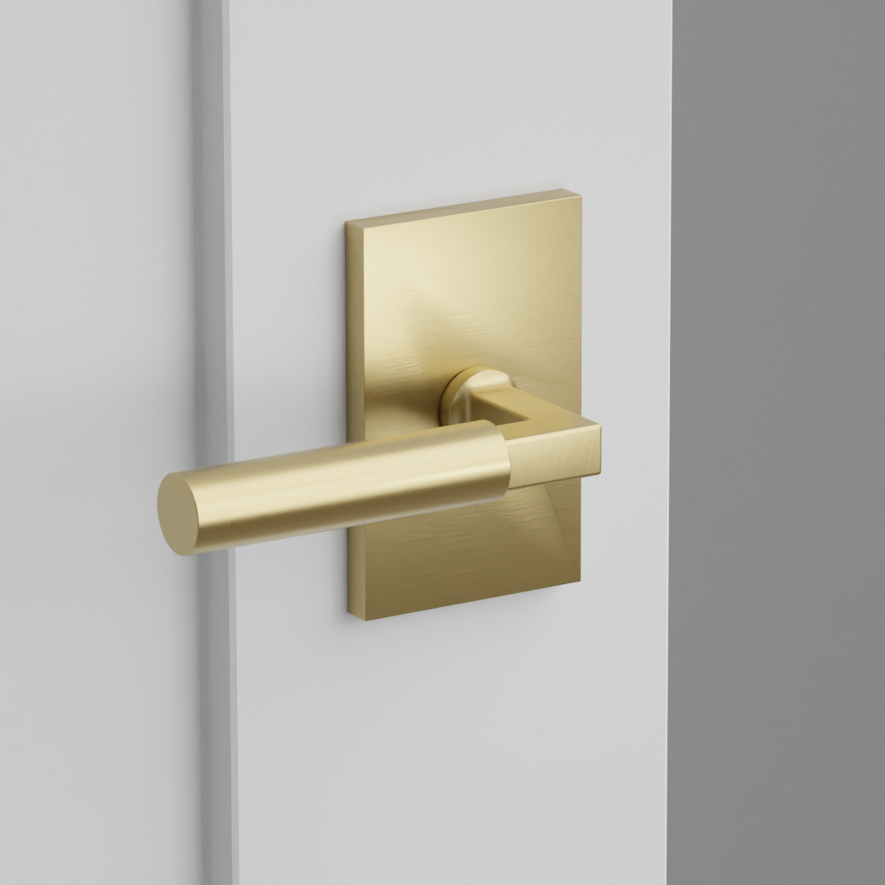 Exterior render - cgrender/InteriorPassagePrivacyDummy/default/h.lever_HEC.finish_US4/r.rosette_dummy_5052.finish_US4.png