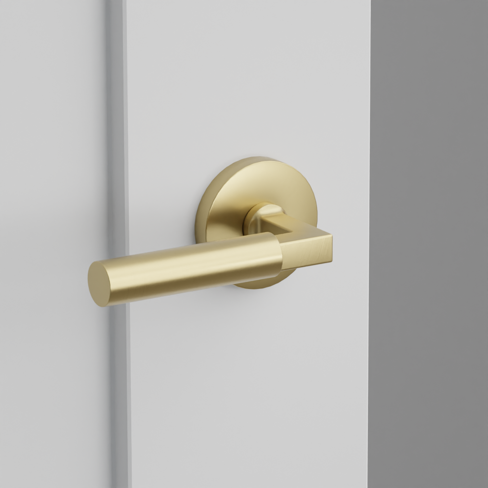 Exterior render - cgrender/InteriorPassagePrivacyDummy/default/h.lever_HEC.finish_US4/r.rosette_dummy_5059.finish_US4.png