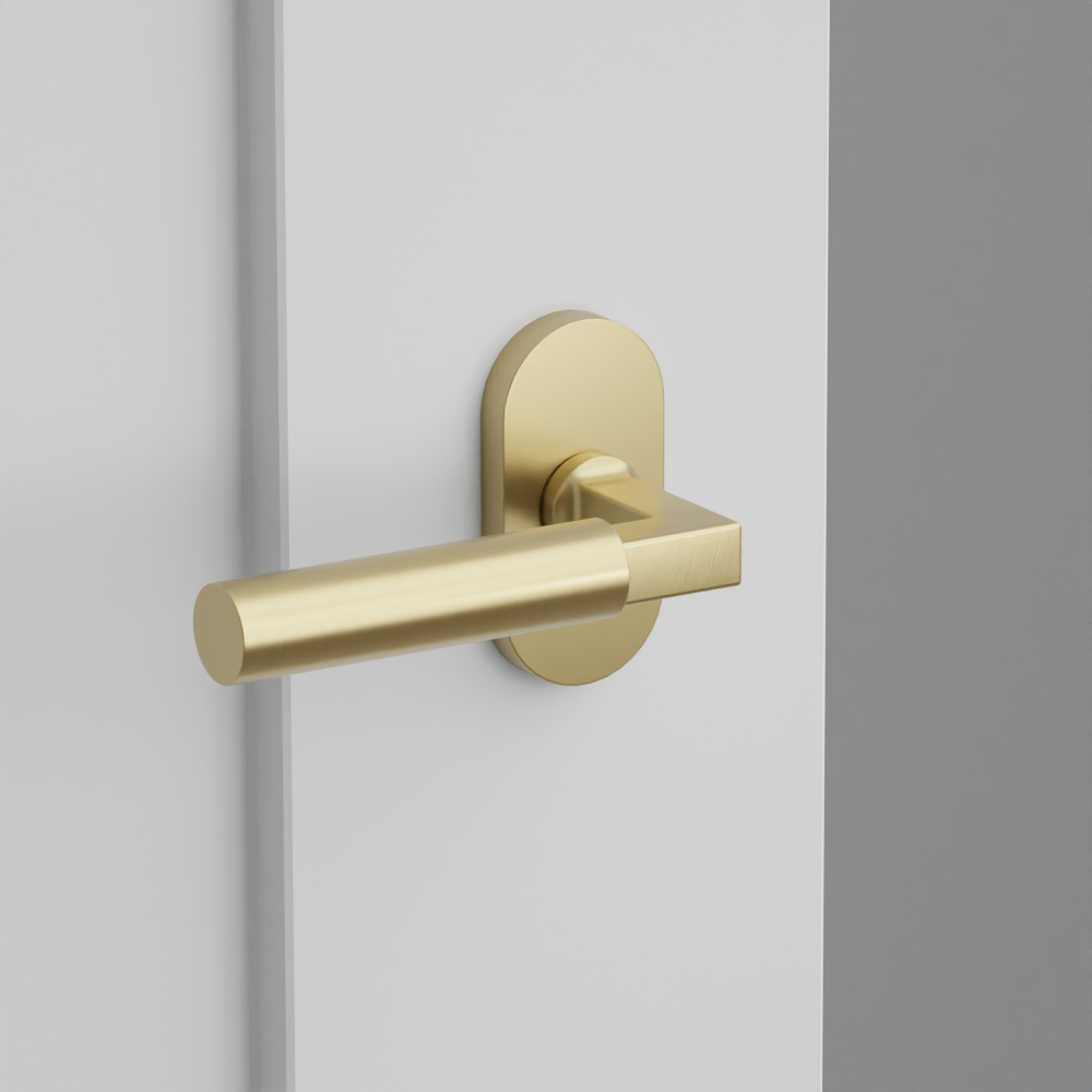 Exterior render - cgrender/InteriorPassagePrivacyDummy/default/h.lever_HEC.finish_US4/r.rosette_dummy_5803.finish_US4.png