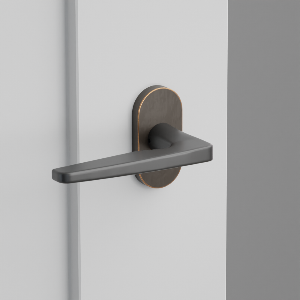 Exterior render - cgrender/InteriorPassagePrivacyDummy/default/h.lever_HER.finish_US10B/r.rosette_dummy_5803.finish_US10B.png