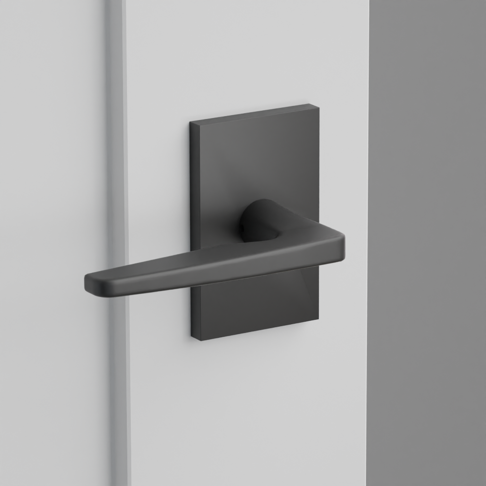 Exterior render - cgrender/InteriorPassagePrivacyDummy/default/h.lever_HER.finish_US19/r.rosette_dummy_5052.finish_US19.png