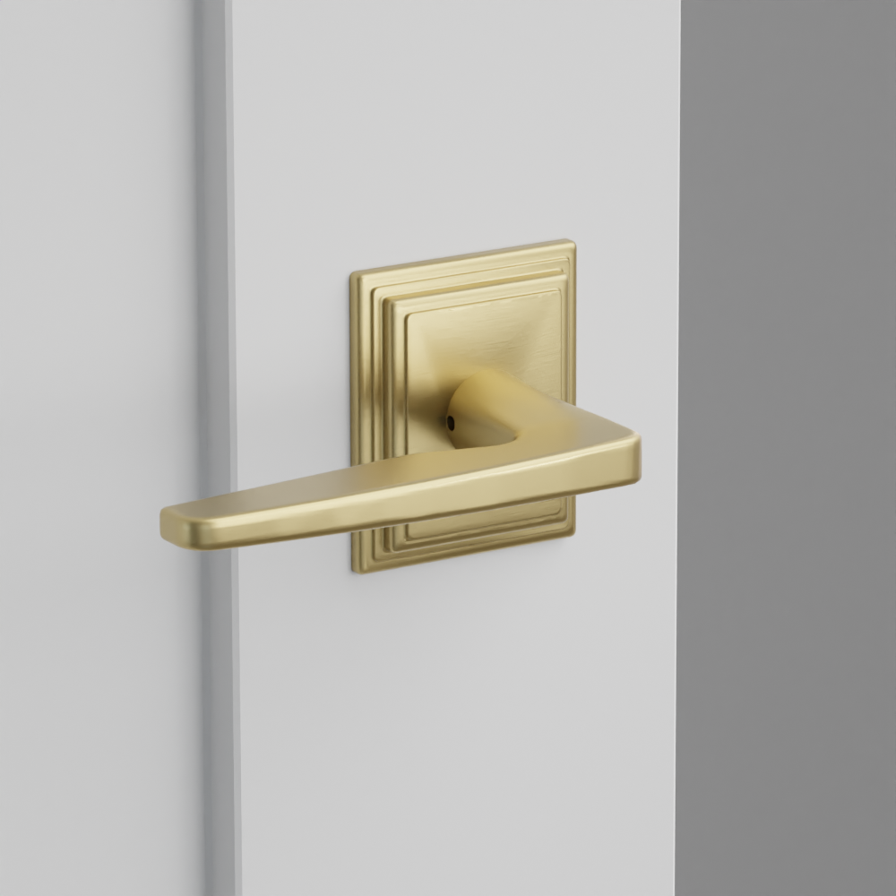 Exterior render - cgrender/InteriorPassagePrivacyDummy/default/h.lever_HER.finish_US4/r.rosette_dummy_8561.finish_US4.png