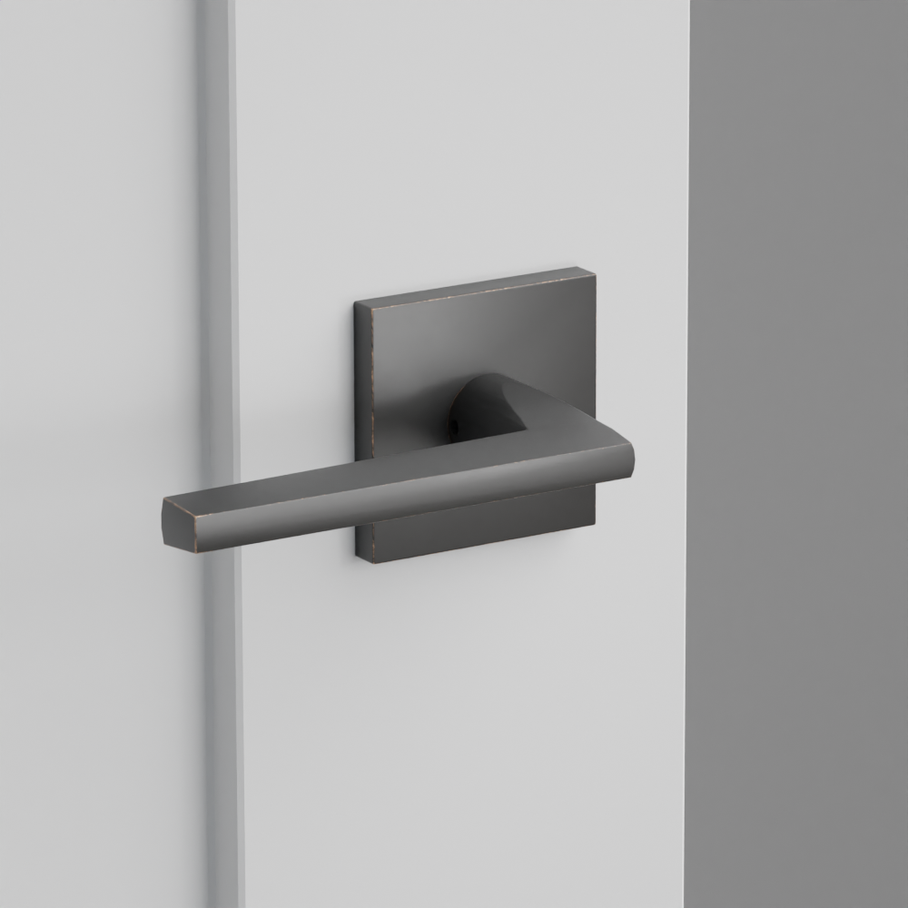 Exterior render - cgrender/InteriorPassagePrivacyDummy/default/h.lever_HLO.finish_US10B/r.rosette_dummy_5050.finish_US10B.png