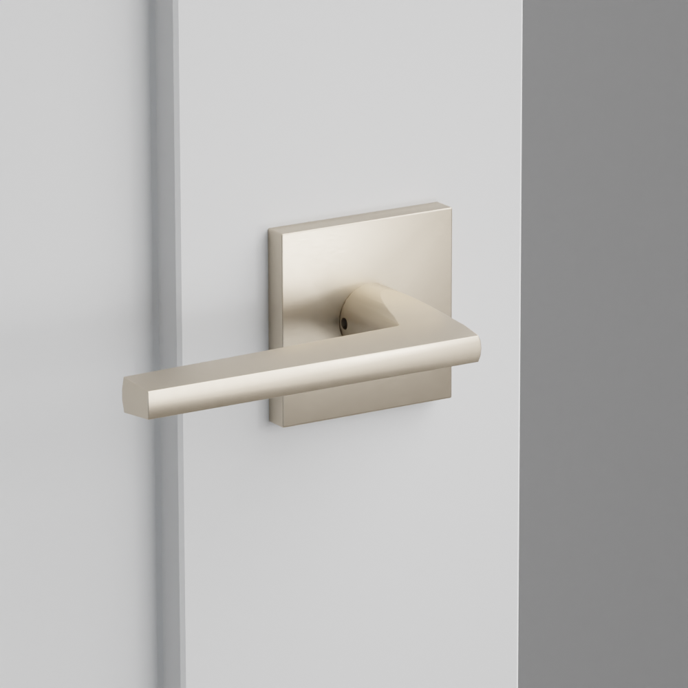 Exterior render - cgrender/InteriorPassagePrivacyDummy/default/h.lever_HLO.finish_US15/r.rosette_dummy_5050.finish_US15.png