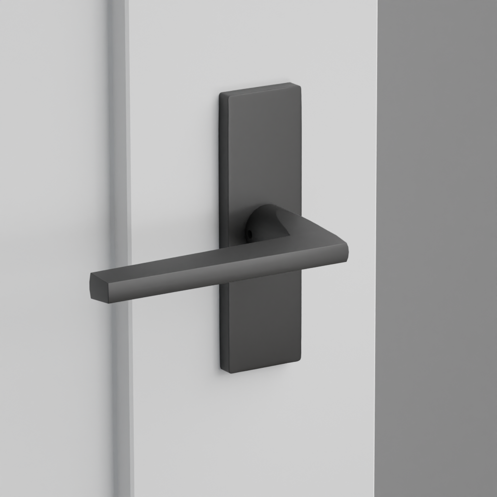 Exterior render - cgrender/InteriorPassagePrivacyDummy/default/h.lever_HLO.finish_US19/r.rosette_dummy_5007.finish_US19.png