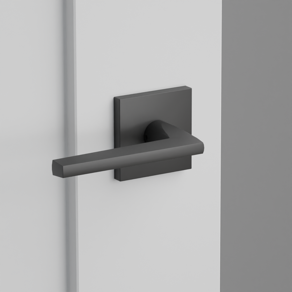 Exterior render - cgrender/InteriorPassagePrivacyDummy/default/h.lever_HLO.finish_US19/r.rosette_dummy_5050.finish_US19.png