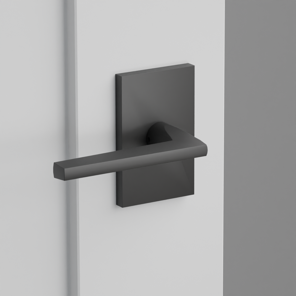 Exterior render - cgrender/InteriorPassagePrivacyDummy/default/h.lever_HLO.finish_US19/r.rosette_dummy_5052.finish_US19.png