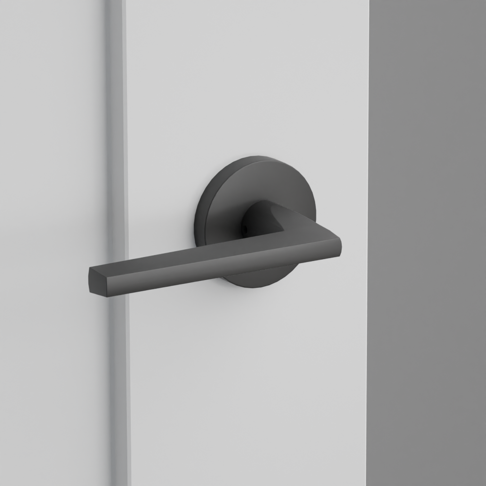 Exterior render - cgrender/InteriorPassagePrivacyDummy/default/h.lever_HLO.finish_US19/r.rosette_dummy_5059.finish_US19.png