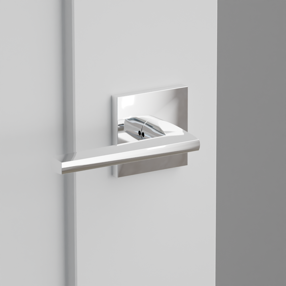 Exterior render - cgrender/InteriorPassagePrivacyDummy/default/h.lever_HLO.finish_US26/r.rosette_dummy_5050.finish_US26.png