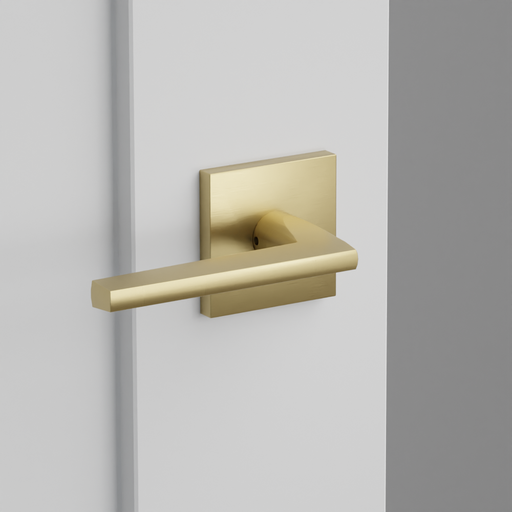 Exterior render - cgrender/InteriorPassagePrivacyDummy/default/h.lever_HLO.finish_US4/r.rosette_dummy_5050.finish_US4.png