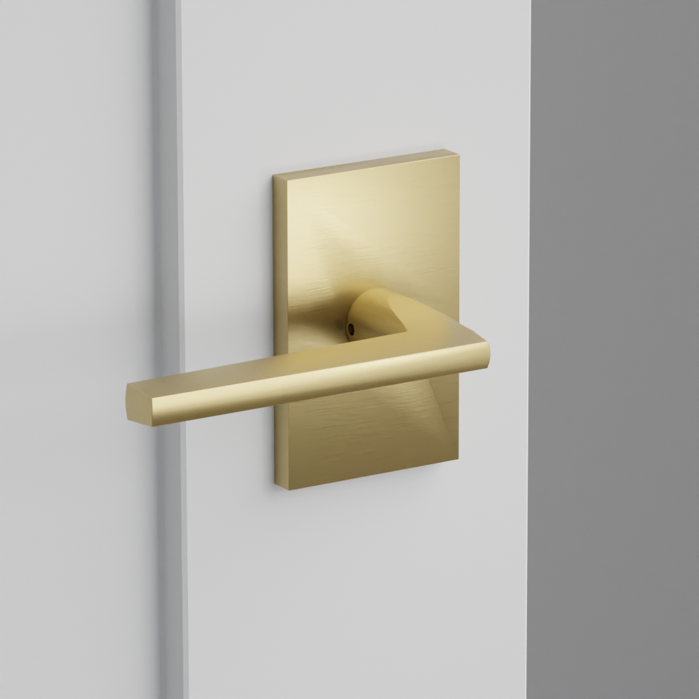 Exterior render - cgrender/InteriorPassagePrivacyDummy/default/h.lever_HLO.finish_US4/r.rosette_dummy_5052.finish_US4.png