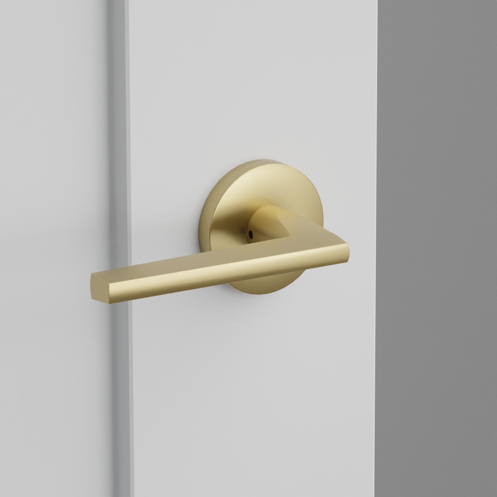 Exterior render - cgrender/InteriorPassagePrivacyDummy/default/h.lever_HLO.finish_US4/r.rosette_dummy_5059.finish_US4.png