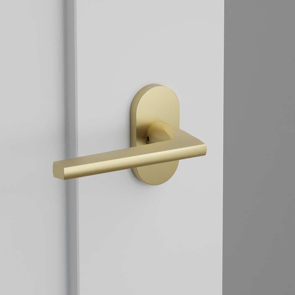 Exterior render - cgrender/InteriorPassagePrivacyDummy/default/h.lever_HLO.finish_US4/r.rosette_dummy_5803.finish_US4.png
