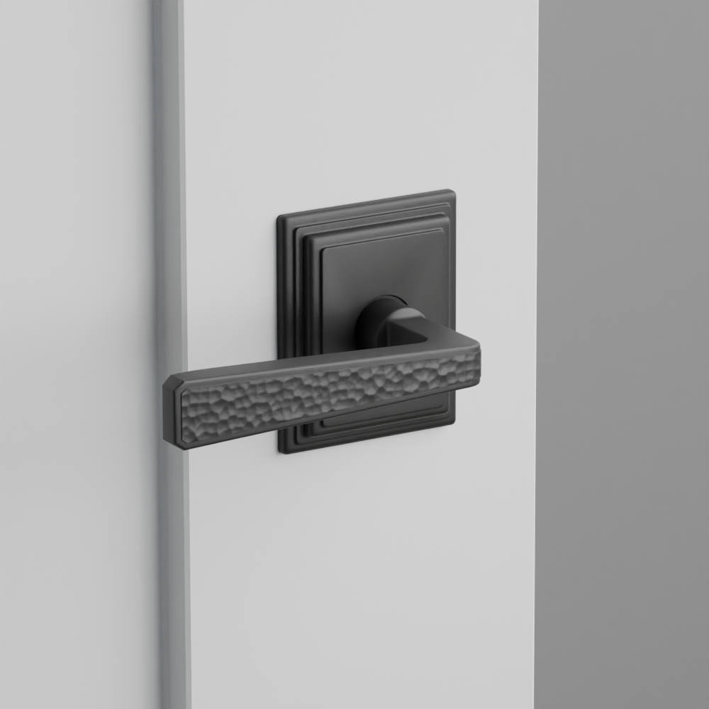 Exterior render - cgrender/InteriorPassagePrivacyDummy/default/h.lever_HM.finish_US19/r.rosette_dummy_8561.finish_US19.png