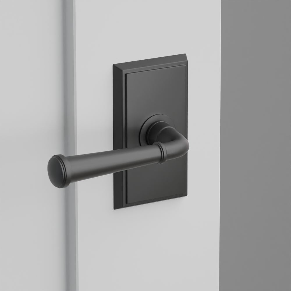 Exterior render - cgrender/InteriorPassagePrivacyDummy/default/h.lever_ME.finish_US19/r.rosette_dummy_8521.finish_US19.png