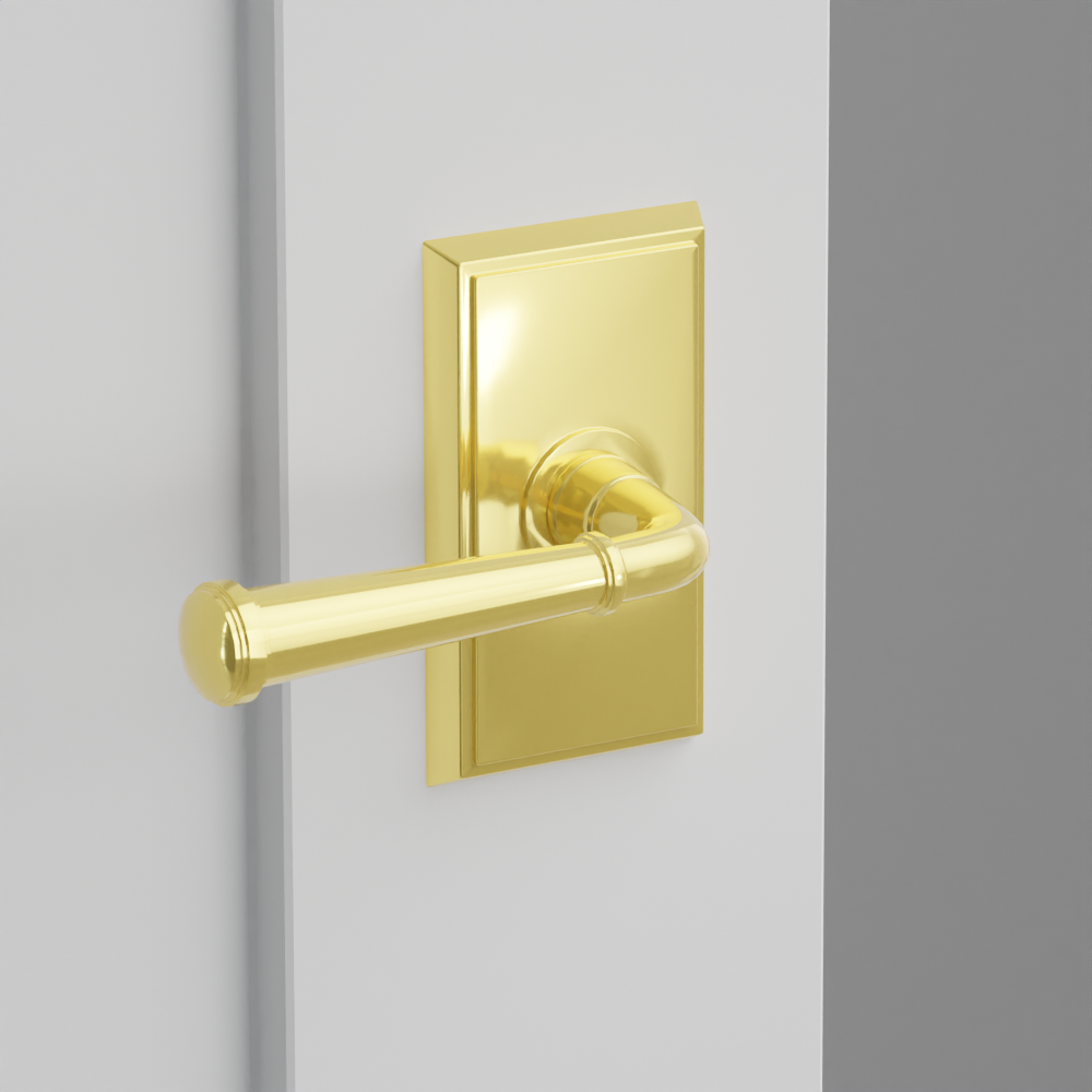 Exterior render - cgrender/InteriorPassagePrivacyDummy/default/h.lever_ME.finish_US3NL/r.rosette_dummy_8521.finish_US3NL.png