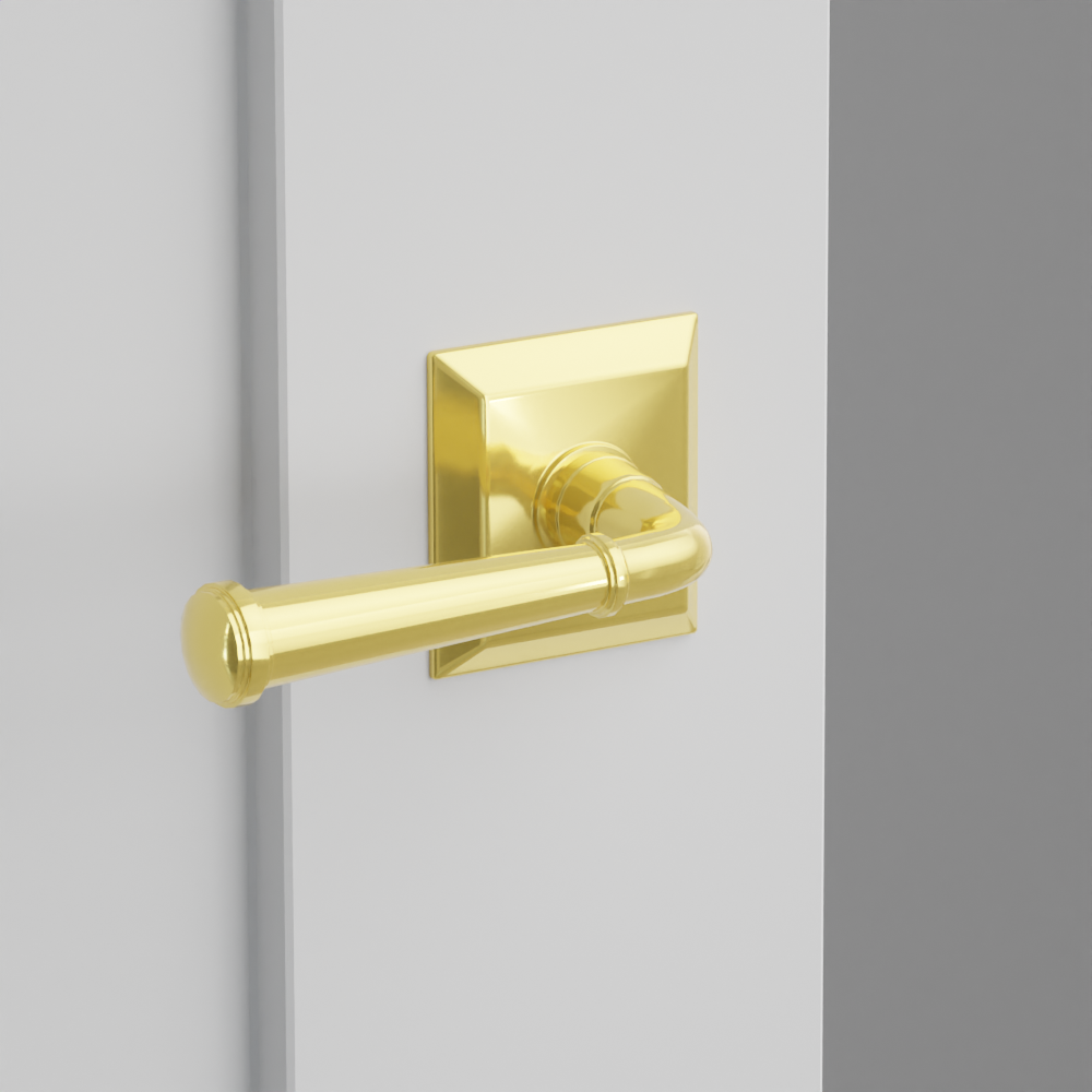 Exterior render - cgrender/InteriorPassagePrivacyDummy/default/h.lever_ME.finish_US3NL/r.rosette_dummy_8531.finish_US3NL.png