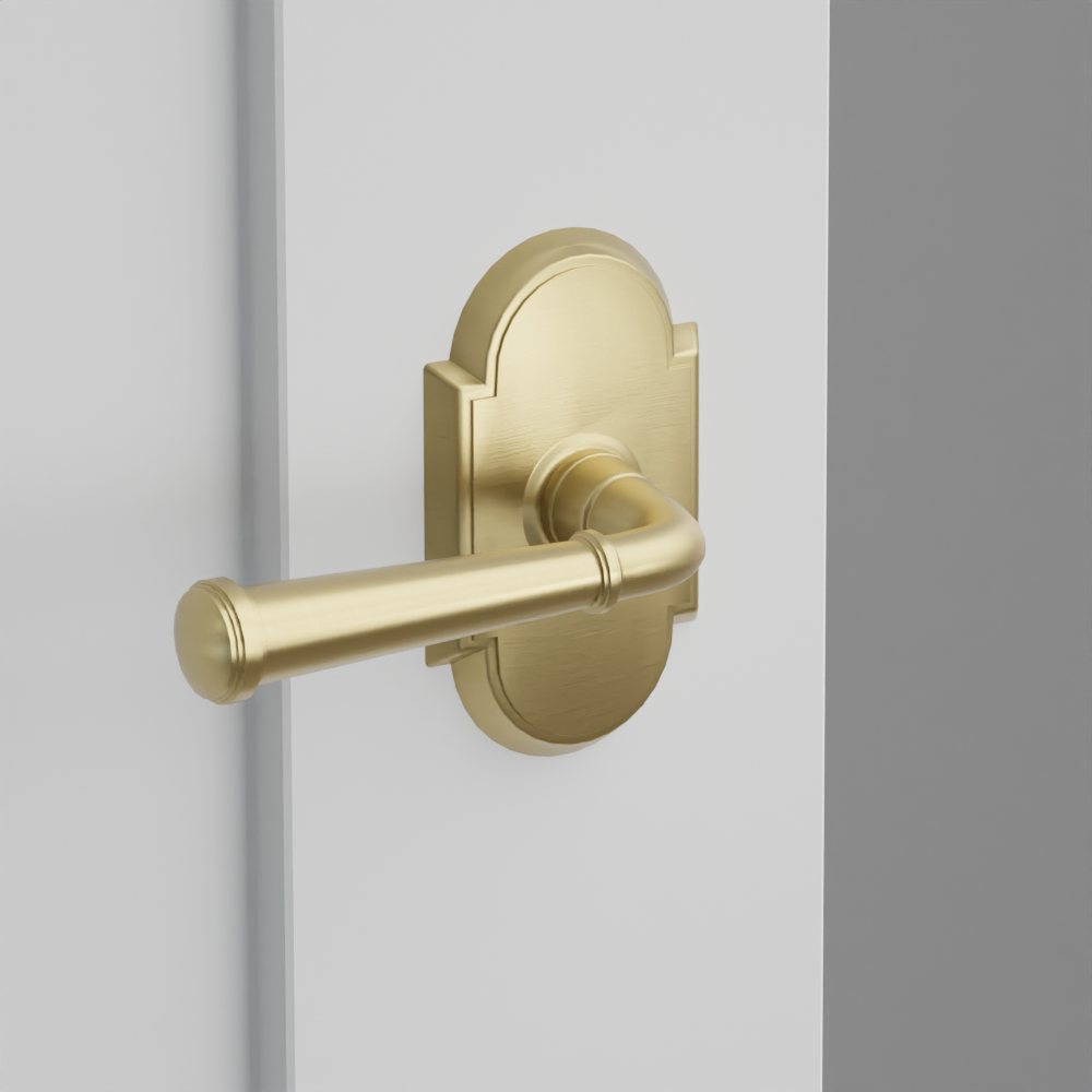 Exterior render - cgrender/InteriorPassagePrivacyDummy/default/h.lever_ME.finish_US4/r.rosette_dummy_8058.finish_US4.png
