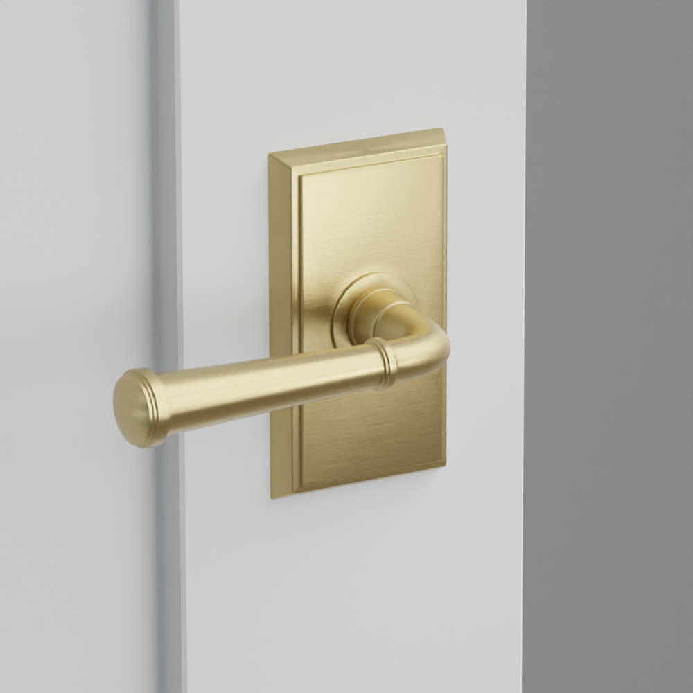 Exterior render - cgrender/InteriorPassagePrivacyDummy/default/h.lever_ME.finish_US4/r.rosette_dummy_8521.finish_US4.png