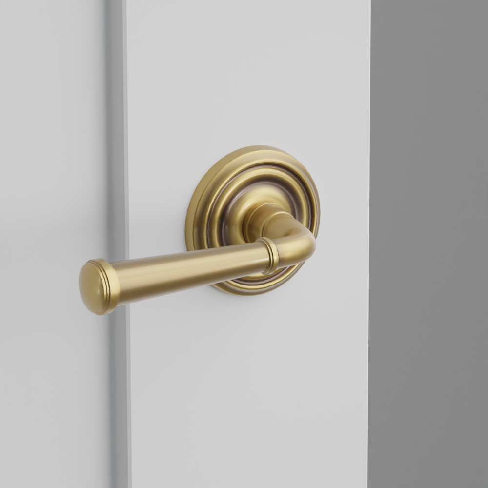 Exterior render - cgrender/InteriorPassagePrivacyDummy/default/h.lever_ME.finish_US7/r.rosette_dummy_8050.finish_US7.png