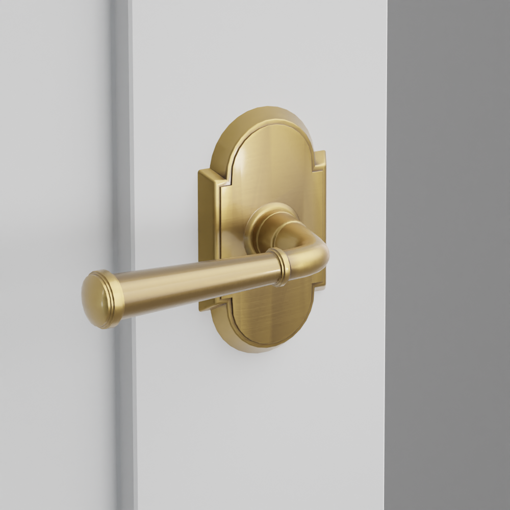 Exterior render - cgrender/InteriorPassagePrivacyDummy/default/h.lever_ME.finish_US7/r.rosette_dummy_8058.finish_US7.png