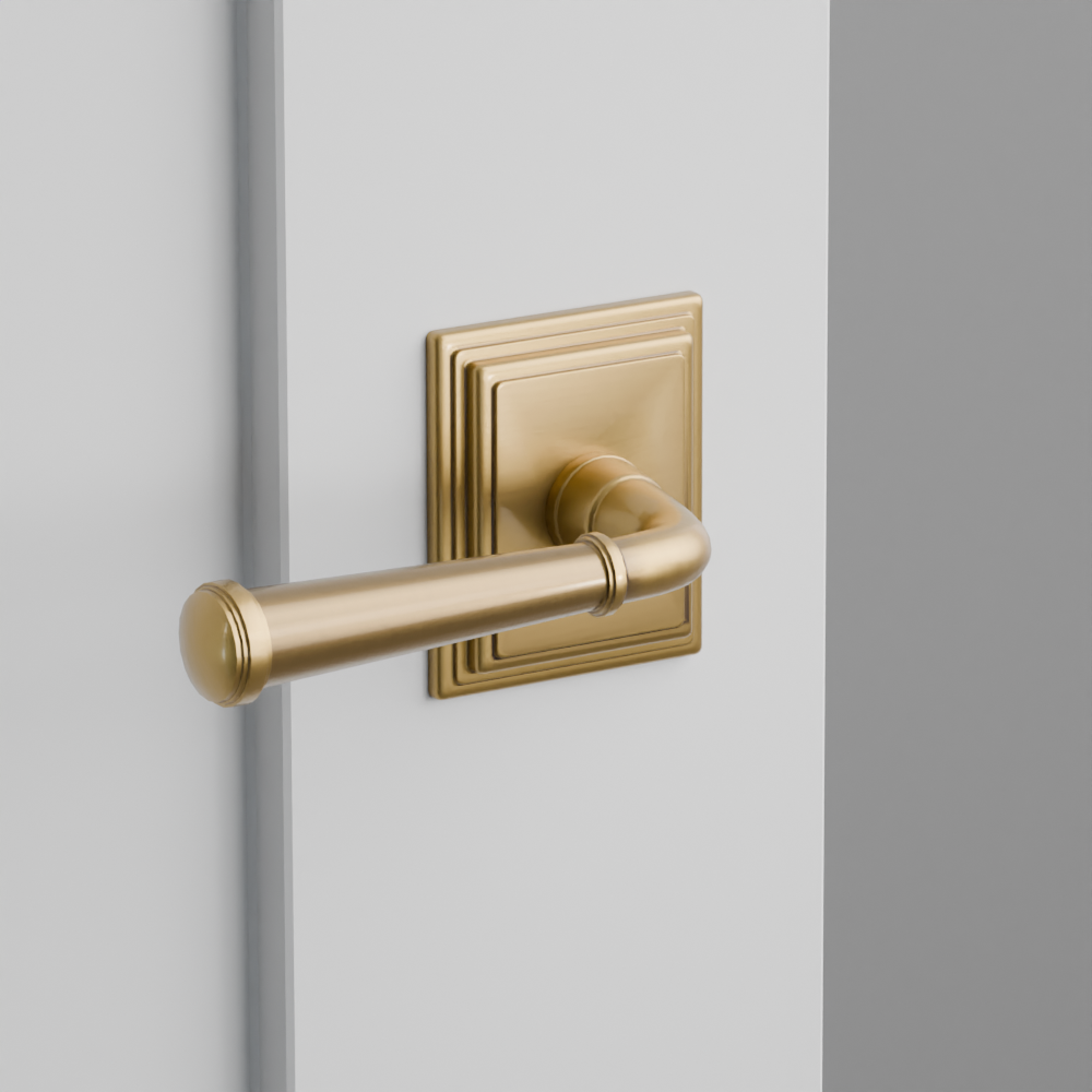 Exterior render - cgrender/InteriorPassagePrivacyDummy/default/h.lever_ME.finish_US7/r.rosette_dummy_8561.finish_US7.png