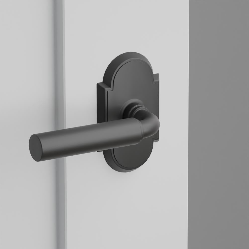 Exterior render - cgrender/InteriorPassagePrivacyDummy/default/h.lever_MNG.finish_US19/r.rosette_dummy_8058.finish_US19.png
