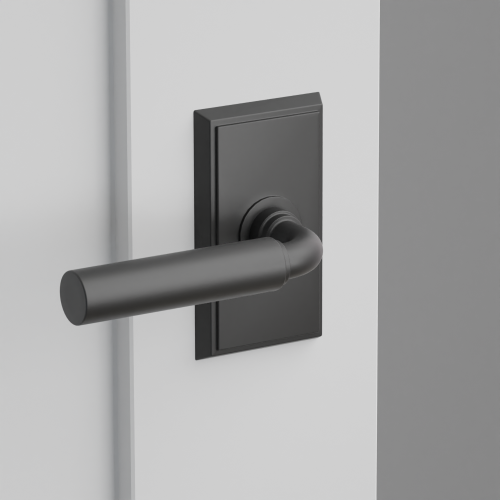 Exterior render - cgrender/InteriorPassagePrivacyDummy/default/h.lever_MNG.finish_US19/r.rosette_dummy_8521.finish_US19.png