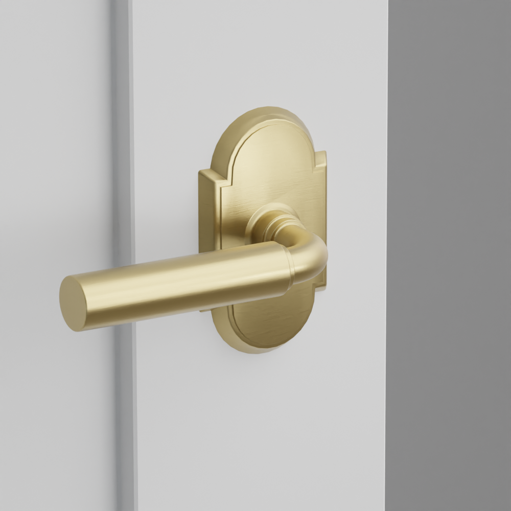 Exterior render - cgrender/InteriorPassagePrivacyDummy/default/h.lever_MNG.finish_US4/r.rosette_dummy_8058.finish_US4.png