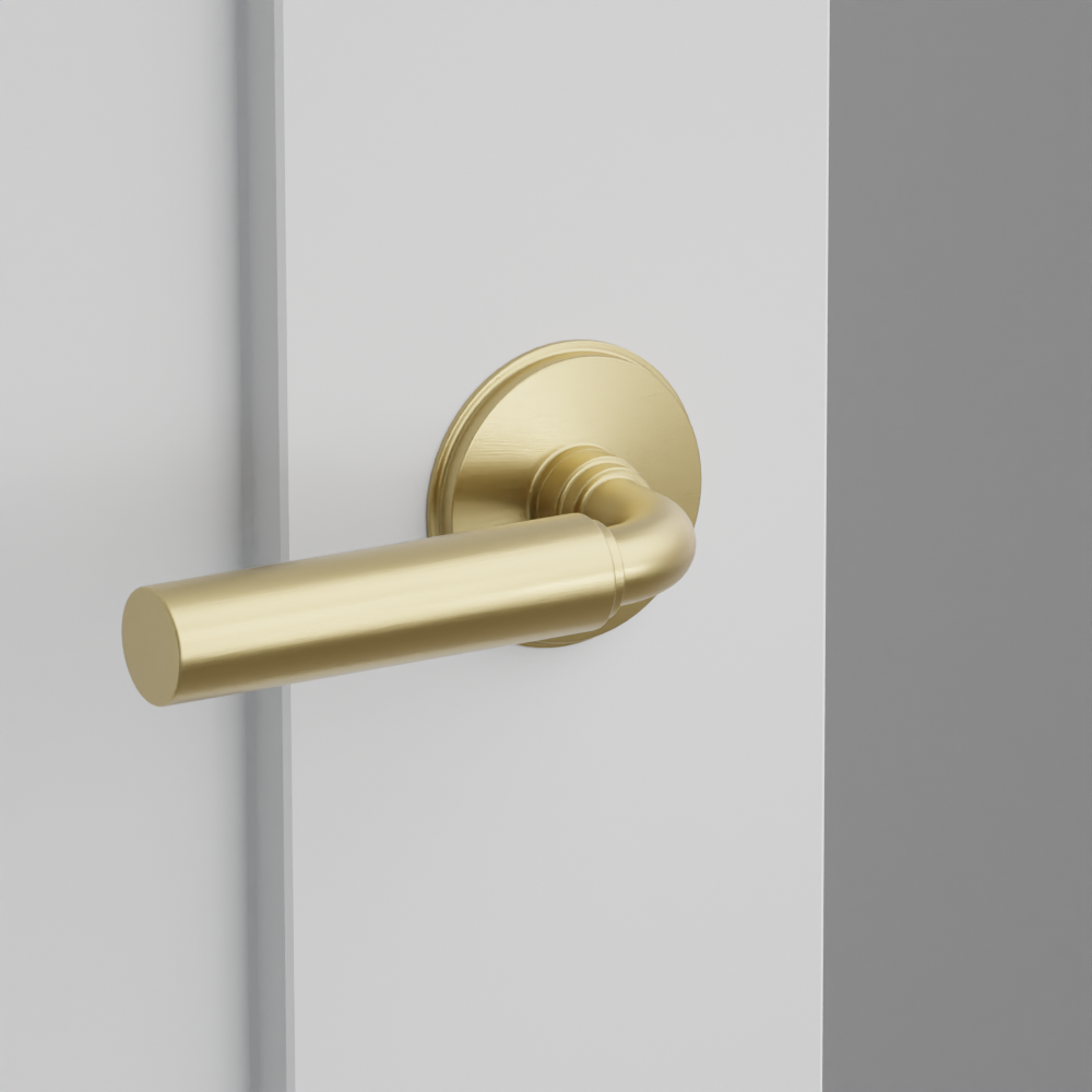 Exterior render - cgrender/InteriorPassagePrivacyDummy/default/h.lever_MNG.finish_US4/r.rosette_dummy_8510.finish_US4.png