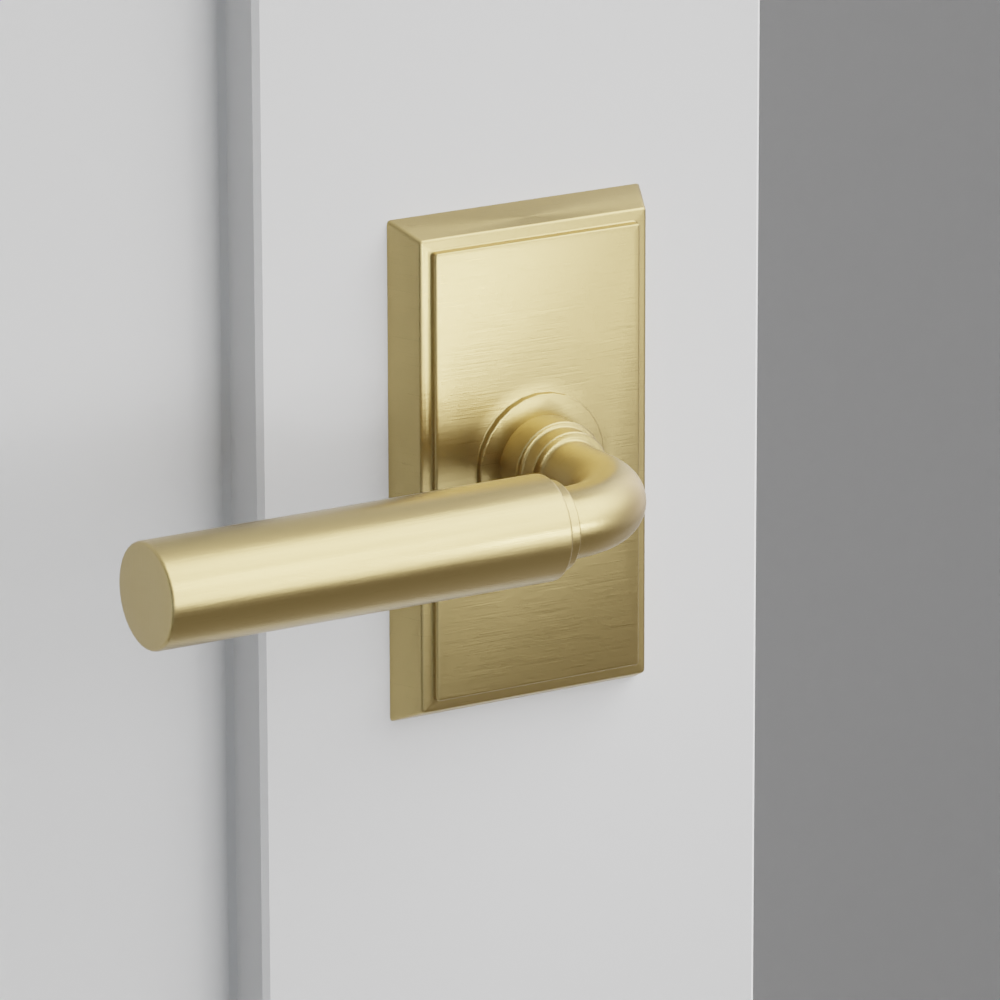 Exterior render - cgrender/InteriorPassagePrivacyDummy/default/h.lever_MNG.finish_US4/r.rosette_dummy_8521.finish_US4.png