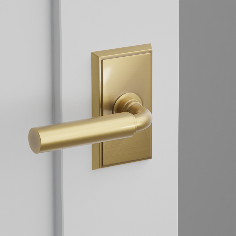 Exterior render - cgrender/InteriorPassagePrivacyDummy/default/h.lever_MNG.finish_US7/r.rosette_dummy_8521.finish_US7.png