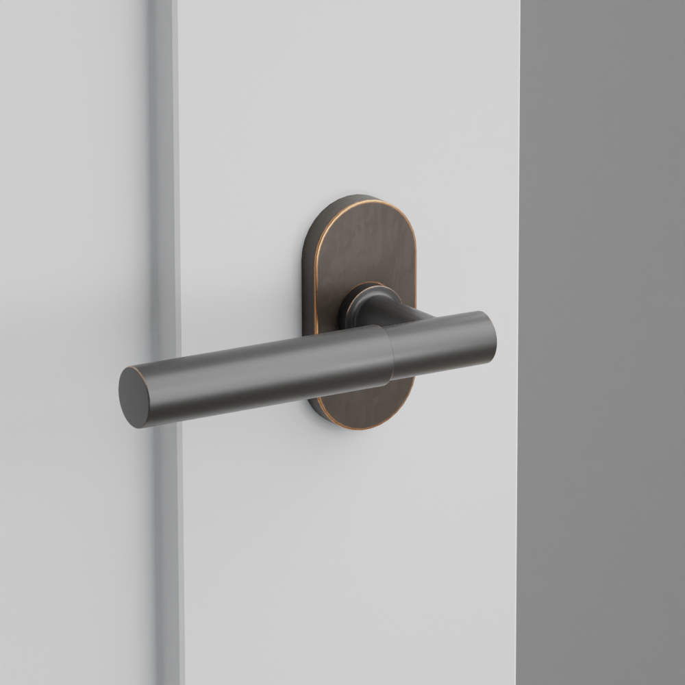 Exterior render - cgrender/InteriorPassagePrivacyDummy/default/h.lever_MYL.finish_US10B/r.rosette_dummy_5803.finish_US10B.png