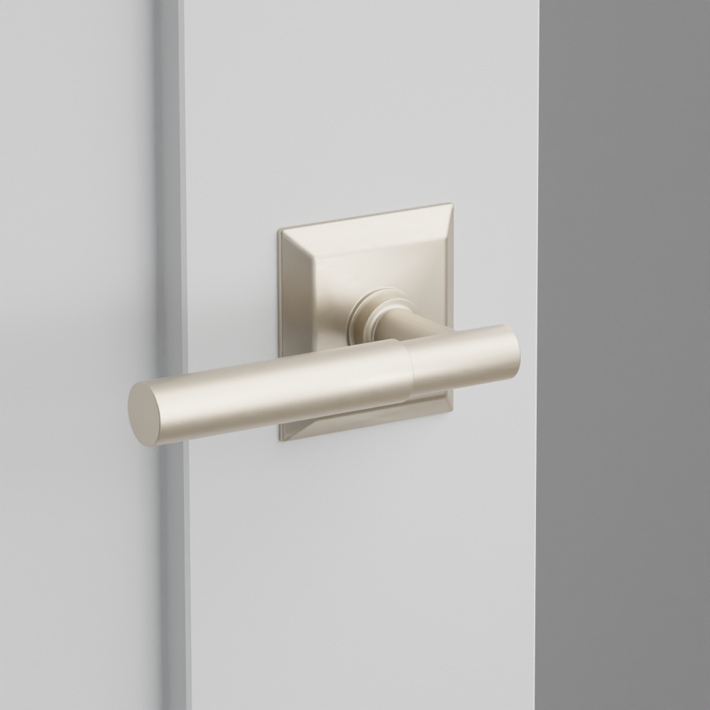 Exterior render - cgrender/InteriorPassagePrivacyDummy/default/h.lever_MYL.finish_US15/r.rosette_dummy_8531.finish_US15.png