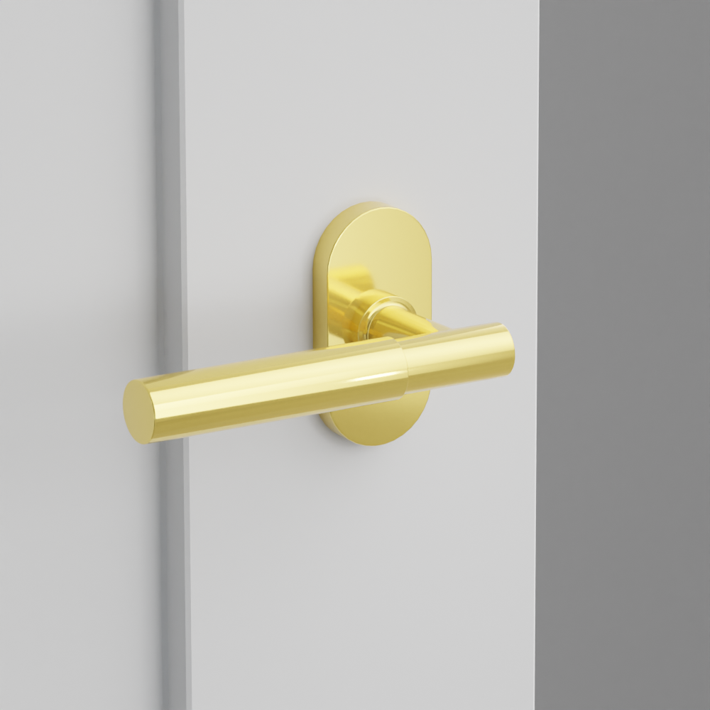 Exterior render - cgrender/InteriorPassagePrivacyDummy/default/h.lever_MYL.finish_US3NL/r.rosette_dummy_5803.finish_US3NL.png