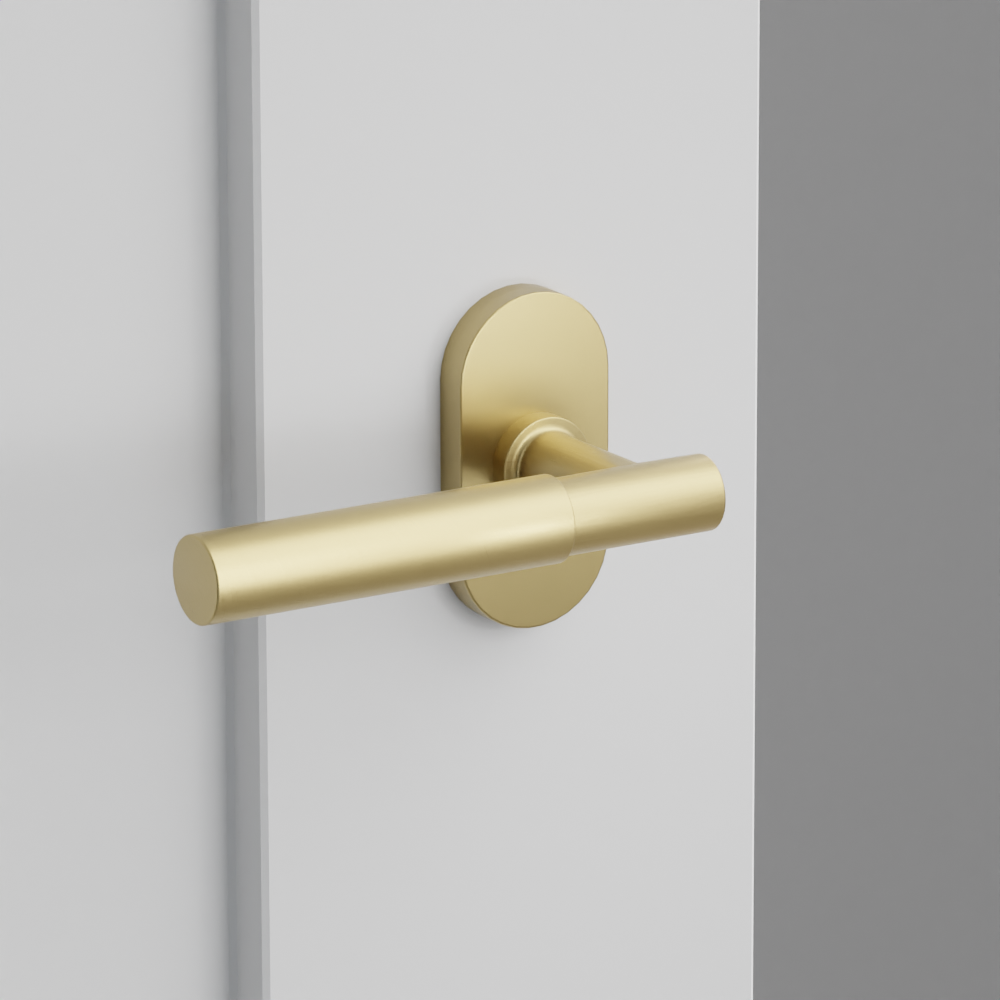 Exterior render - cgrender/InteriorPassagePrivacyDummy/default/h.lever_MYL.finish_US4/r.rosette_dummy_5803.finish_US4.png