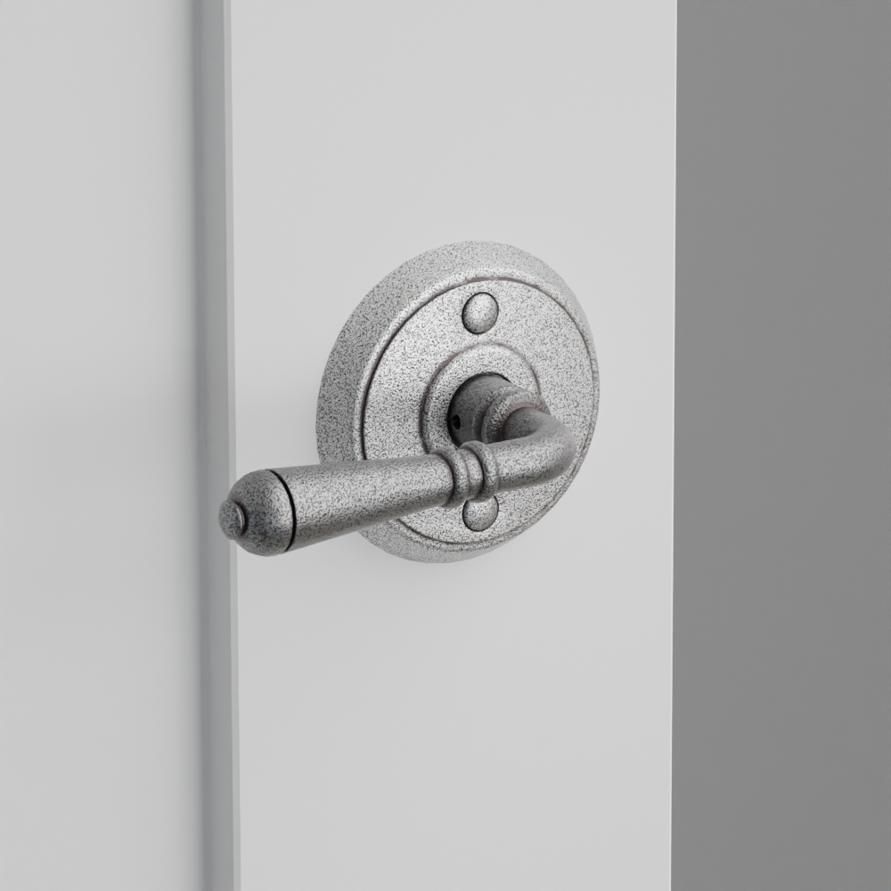 Exterior render - cgrender/InteriorPassagePrivacyDummy/default/h.lever_N.finish_SWS/r.rosette_dummy_7052.finish_SWS.png
