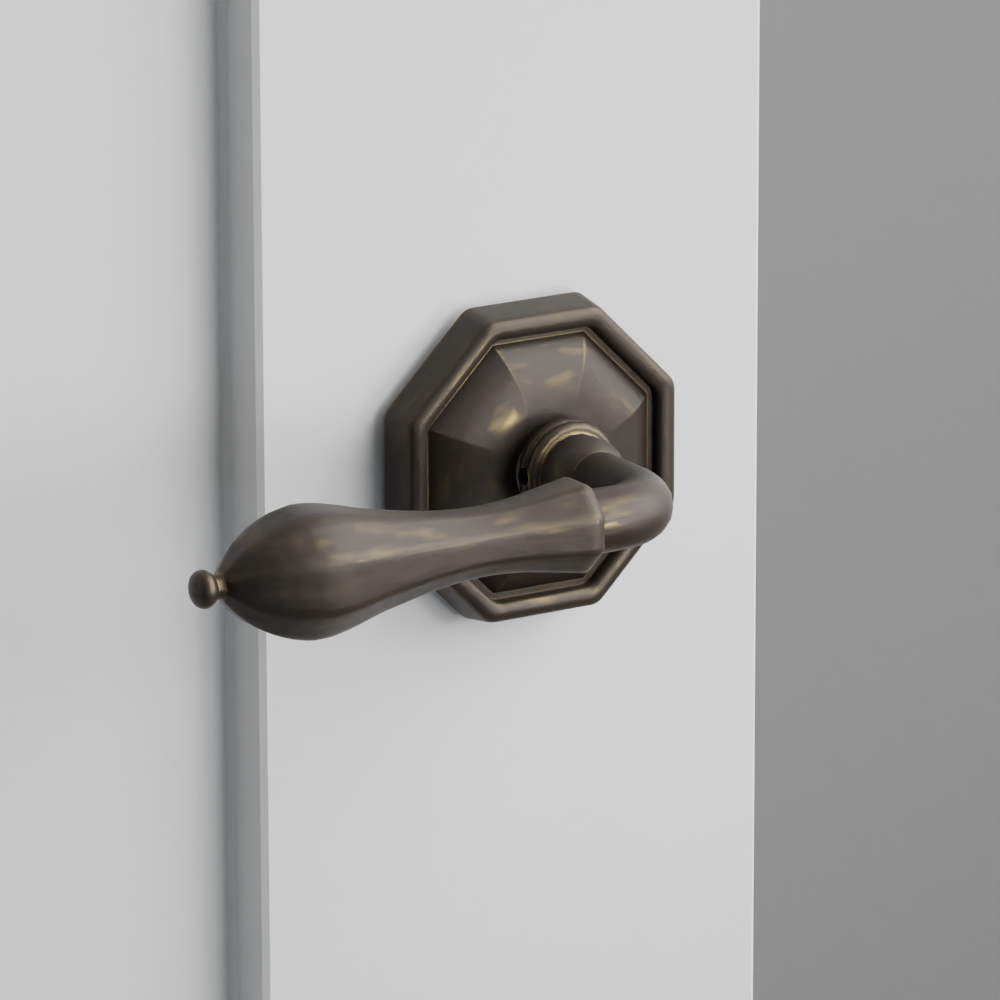 Exterior render - cgrender/InteriorPassagePrivacyDummy/default/h.lever_OCL.finish_MB/r.rosette_dummy_70515.finish_MB.png