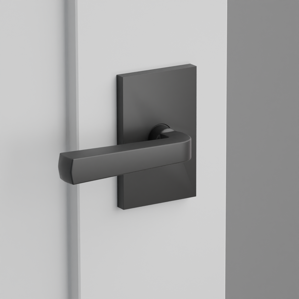 Exterior render - cgrender/InteriorPassagePrivacyDummy/default/h.lever_SIO.finish_US19/r.rosette_dummy_5052.finish_US19.png