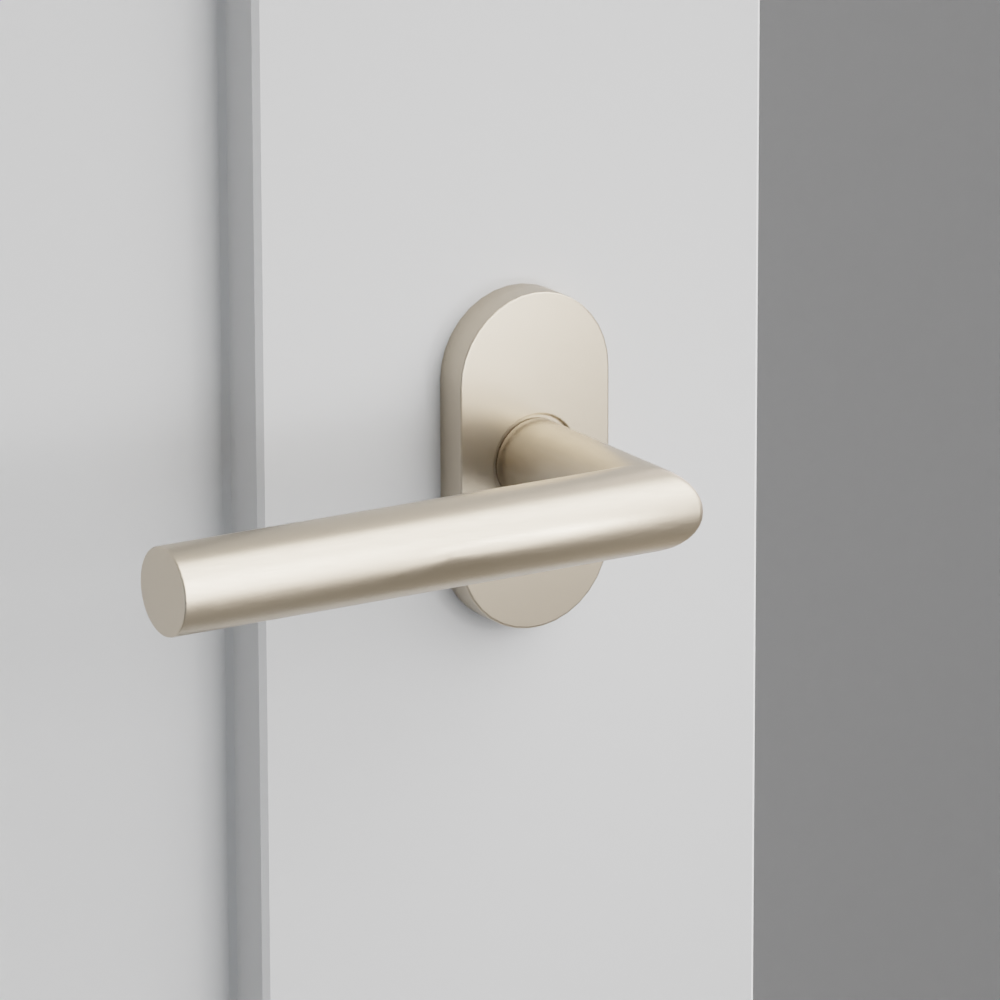 Exterior render - cgrender/InteriorPassagePrivacyDummy/default/h.lever_STU.finish_US15/r.rosette_dummy_5803.finish_US15.png