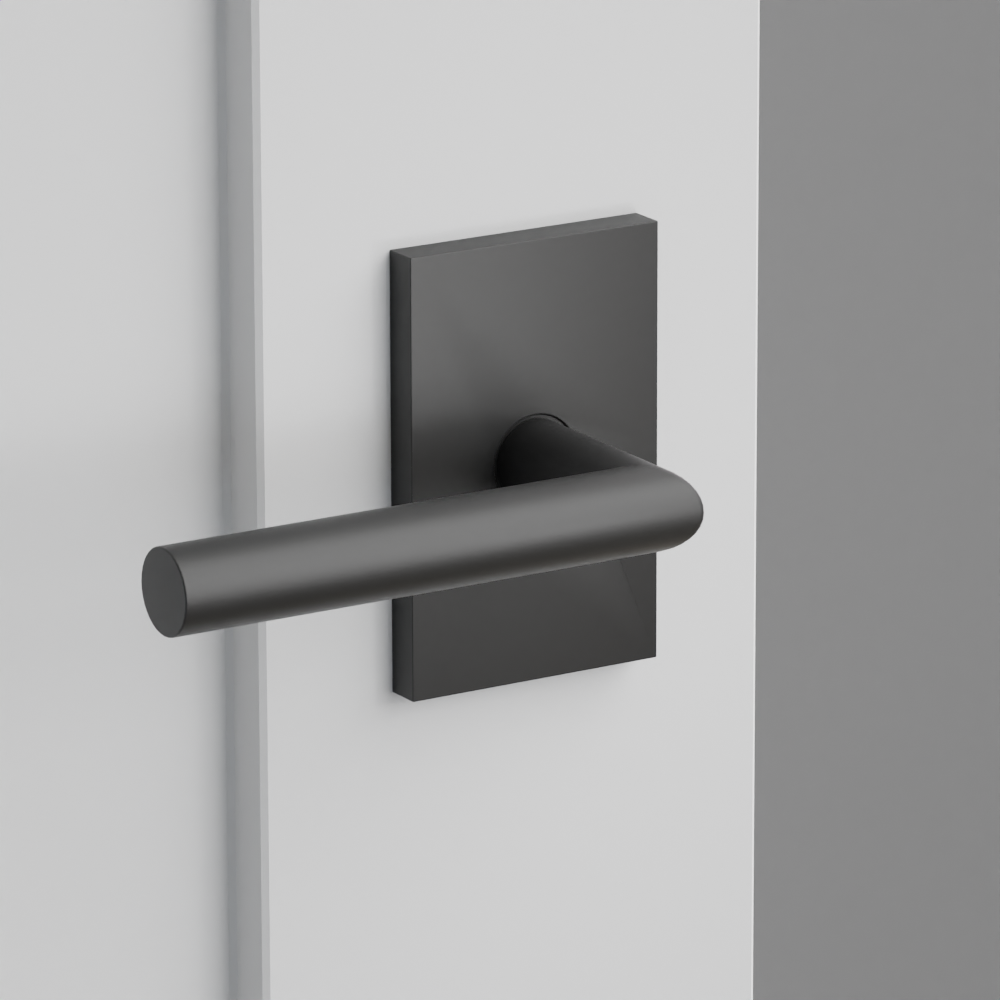 Exterior render - cgrender/InteriorPassagePrivacyDummy/default/h.lever_STU.finish_US19/r.rosette_dummy_5052.finish_US19.png