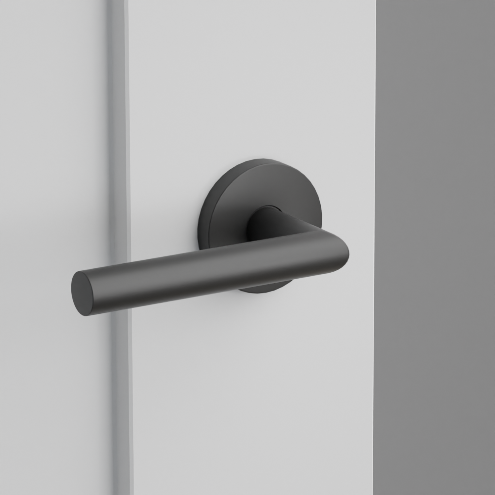 Exterior render - cgrender/InteriorPassagePrivacyDummy/default/h.lever_STU.finish_US19/r.rosette_dummy_5059.finish_US19.png